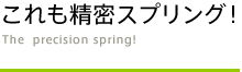 これも精密スプリング！